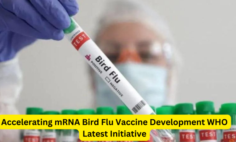 Bird Flu Vaccine