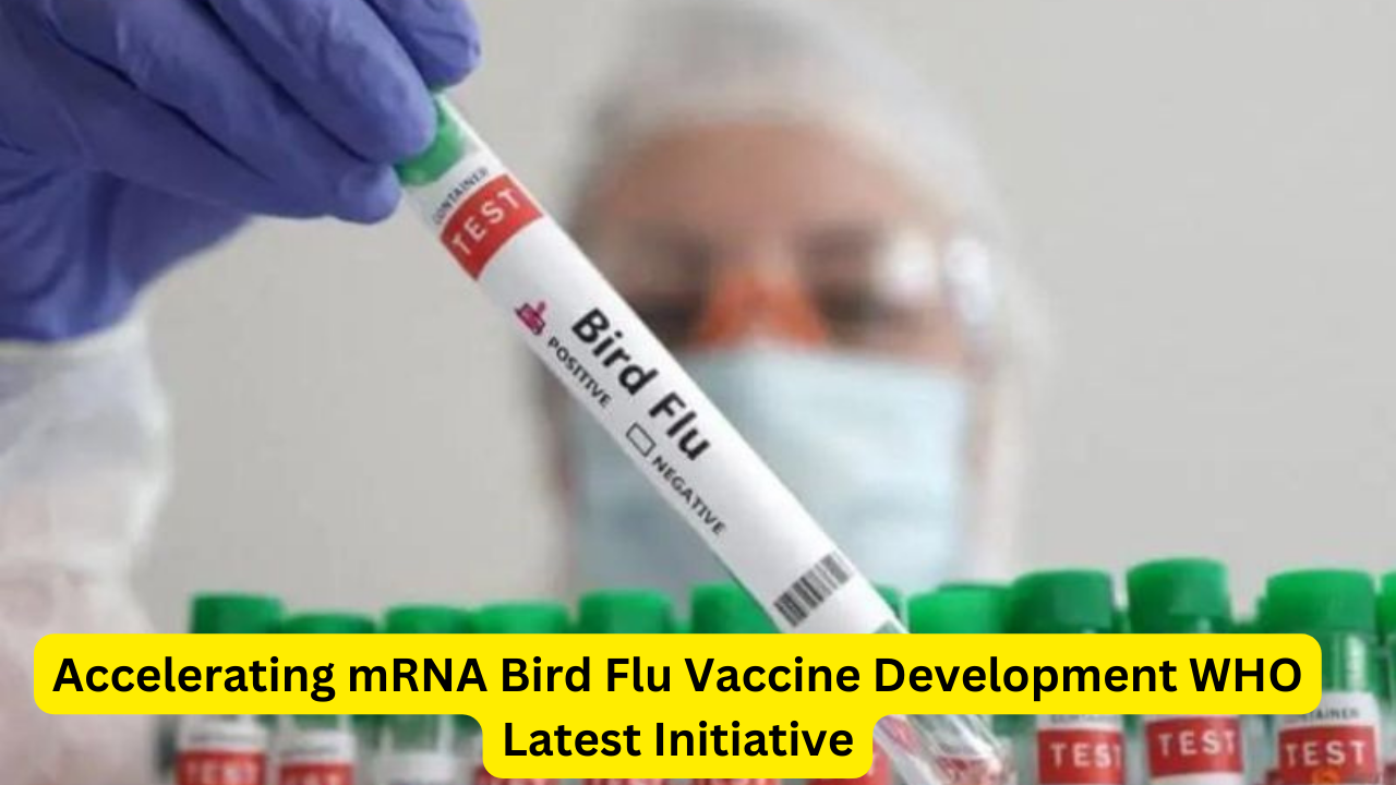 Bird Flu Vaccine