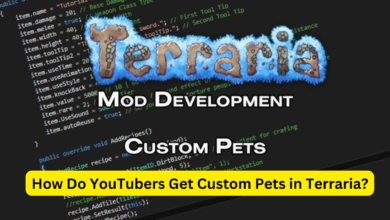 How Do YouTubers Get Custom Pets in Terraria