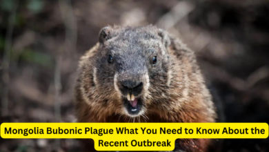 Mongolia Bubonic Plague