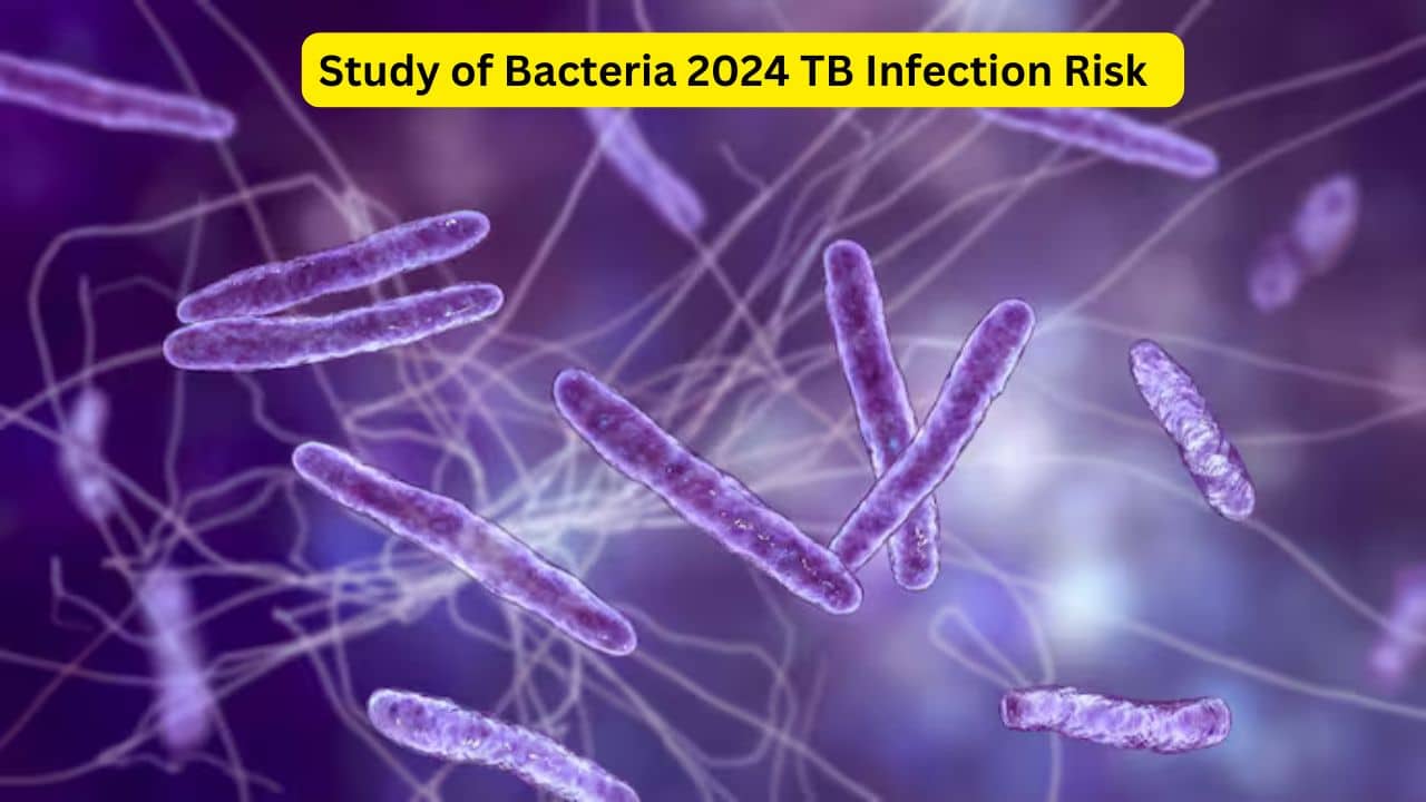 Study of Bacteria 2024 TB Infection Risk