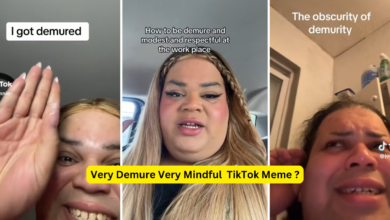 Very Demure Very Mindful TikTok